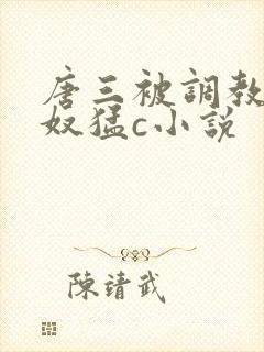 唐三被调教成肉奴猛c小说