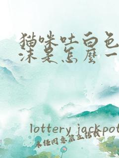 猫咪吐白色的泡沫是怎么一回事