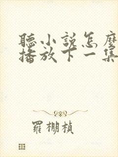 听小说怎么自动播放下一集