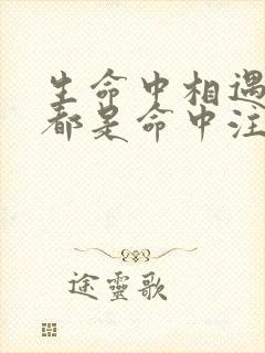 生命中相遇的人都是命中注定