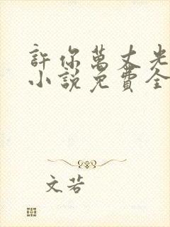 许你万丈光芒好小说免费全文