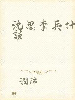 沈思李兵什么小说