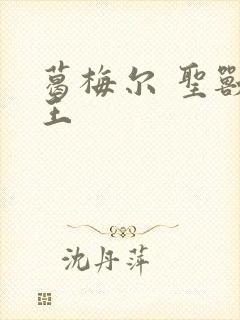 葛梅尔 圣兽之王