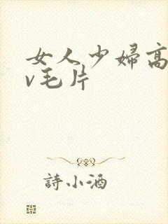 女人少妇高潮av毛片