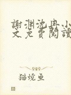 谢渊沈冉小说全文免费阅读