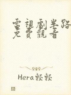 电视剧半路兄弟免费观看