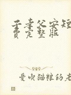 子孝父安短剧免费完整版