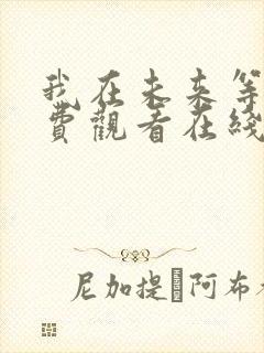 我在未来等你免费观看在线电视剧