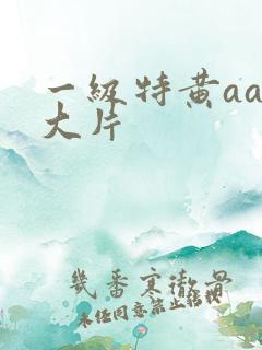 一级特黄aaa大片