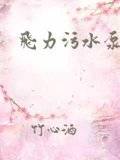 飞力污水泵价格