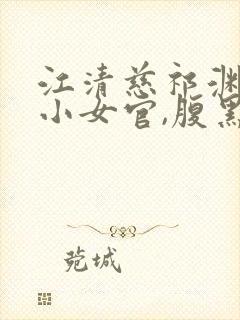 江清慈祁渊替身小女官,腹黑帝王沦陷了在