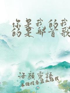 你是我的我是你的是哪首歌的歌词