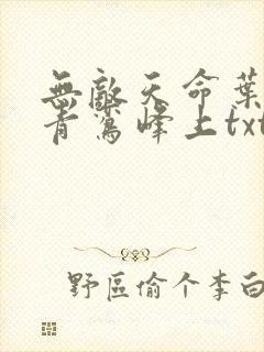 无敌天命叶天命青鸾峰上txt下载