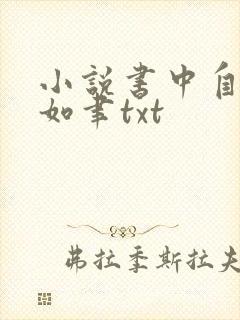 小说书中自有颜如聿txt