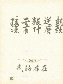 孩子叛逆期,有没有什么教育机构可管