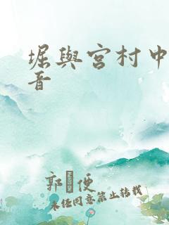 堀与宫村中国配音