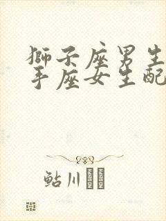 狮子座男生和射手座女生配对指数