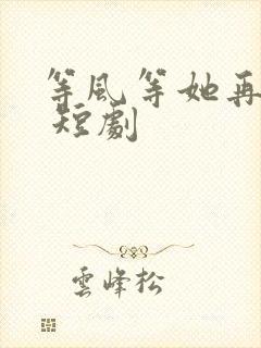 等风等她再回头 短剧