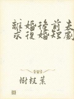 离婚后前夫哭着求复婚短剧