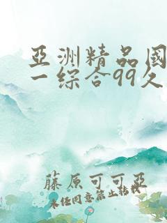 亚洲精品国产第一综合99久久