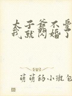 太子爷不爱我那我就闪婚了小说