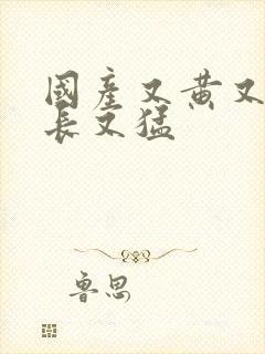 国产又黄又粗又长又猛