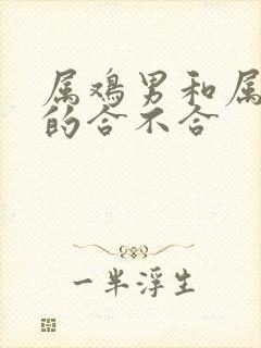 属鸡男和属鼠女的合不合