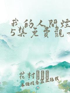 我的人间烟火45集免费观看