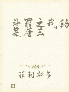 斗罗之我的哥哥是唐三