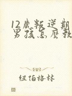 12岁叛逆期的男孩怎么教育