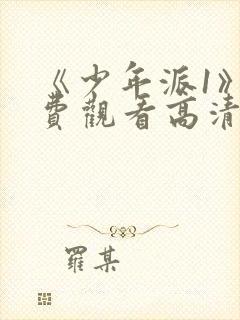 《少年派1》免费观看高清