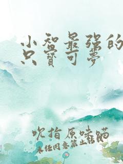 小智最强的30只宝可梦