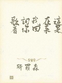 歌词我在这儿等着你回来是什么歌