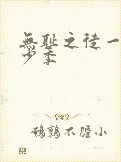 无耻之徒一共多少季