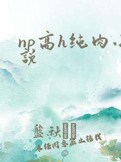 np高h纯肉小说