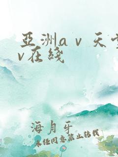 亚洲aⅴ天堂av在线