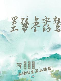 男孩名字想要带土带金的名字