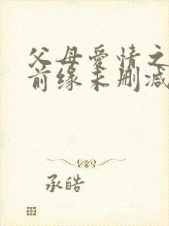 父母爱情之再续前缘未删减版在线观看