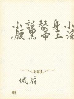 小说替身小女官,腹黑帝王沦陷了江清慈祁