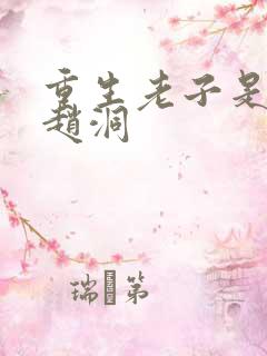 重生老子是皇帝赵洞