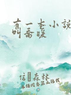 有一本小说女主叫乔暖