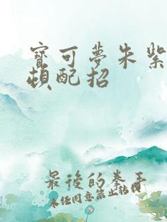 宝可梦朱紫密勒顿配招