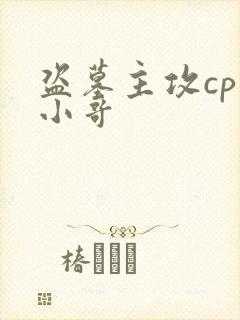 盗墓主攻cp是小哥