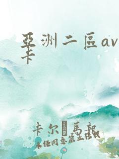 亚洲二区av不卡