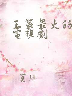 王策最火的5部电视剧