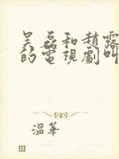 吴磊和赵露思演的电视剧叫什么名字