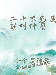 二十不惑原著小说叫什么
