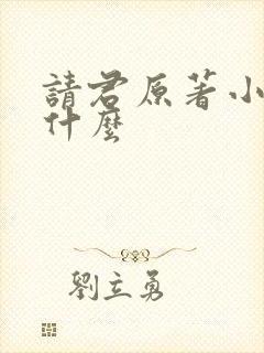 请君原著小说叫什么