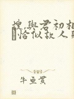 搜,与君初相识·恰似故人归