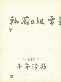 韩国a级电影av